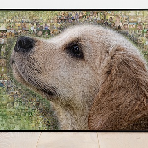 Szülinapi fényképes mozaik poszter, állatos poszter kutyaimádó évforduló 30, 40, 50 édesanyának feleségemnek férjemnek, Otthon & Lakás, Poszter, Dekoráció, Kép & Falikép, Mindenmás, MESKA