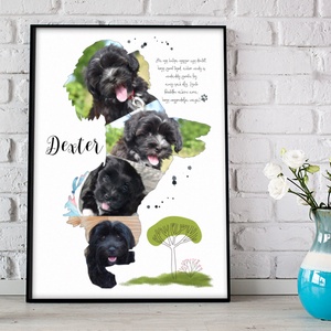 Egyedi Bichon Havanese kutyusus kutya falidekoráció, kutyák szerelmeseinek, kutyarajongóknak, állatbarátoknak állatos  - otthon & életmód - dekoráció - kép & falikép - poszter - Meska.hu