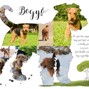 Airedale terrier kutyus kutya falidekoráció, kutyák szerelmeseinek, születésnapra, Vicces, Frappáns, Szülinapi ajándék - otthon & életmód - dekoráció - kép & falikép - poszter - Meska.hu