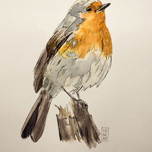 Akvarellkép - Vörösbegy  - művészet - festmény - akvarell - Meska.hu