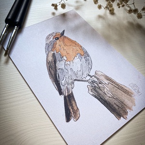 Vörösbegy - művészi nyomat  - művészet - grafika & illusztráció - művészi nyomat - Meska.hu