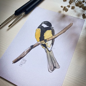 Széncinege - művészi nyomat , Művészet, Grafika & Illusztráció, Művészi nyomat, Festészet, Fotó, grafika, rajz, illusztráció, MESKA