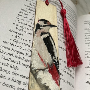 Könyvjelző - Fára festett - Harkály - könyv & zene - könyvjelző - Meska.hu