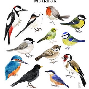 Matrica csomag  - otthon & életmód - papír, írószer - matrica, matrica csomag - Meska.hu