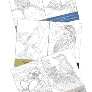 Színező kártyák - DIY Színező kártgyák motivációs üzenetekkel - otthon & életmód - papír, írószer - színező - Meska.hu