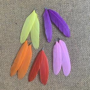 10db(5pár) festett toll medál  (40ft/db), Kellékek & szerszámok, Dekorációs kellékek, Madártoll, , MESKA