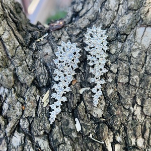 ESKÜVŐI - strasszköves lógós fülbevaló/klipsz - ékszer - fülbevaló - klipsz - Meska.hu