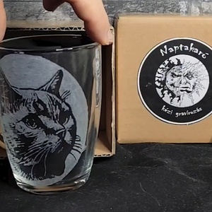 Cica mintás üveg bögre , Otthon & Életmód, Konyhafelszerelés, tálalás, Tálalás, Bögre & Csésze, Gravírozás, pirográfia, MESKA