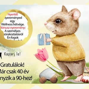 Kaparós sorsjegy egyedi felirat Születésnap Névnap vicces ajándék - otthon & életmód - papír, írószer - ajándékozás kellékei - ajándék sorsjegy - Meska.hu