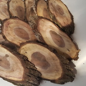 Szilfa szeletek - kellékek & szerszámok - hobby fa alapanyag - egyéb fatermék - Meska.hu