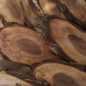 Szilfa szeletek - kellékek & szerszámok - hobby fa alapanyag - egyéb fatermék - Meska.hu