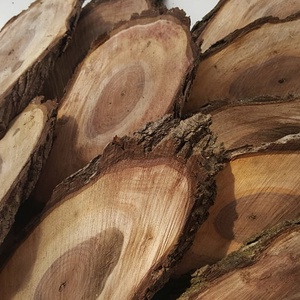 Szilfa szeletek - kellékek & szerszámok - hobby fa alapanyag - egyéb fatermék - Meska.hu