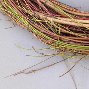 Óriás fehér som koszorú alap - kellékek & szerszámok - dekorációs kellékek - koszorú, koszorúalap - Meska.hu