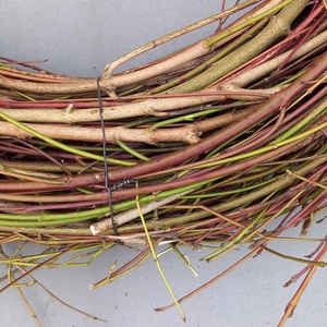 Óriás fehér som koszorú alap - kellékek & szerszámok - dekorációs kellékek - koszorú, koszorúalap - Meska.hu