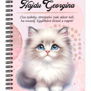 Személyre szabható - Hógolyó cuki cica mintás A5-ös füzet, Otthon & Életmód, Papír, írószer, Jegyzetfüzet & Napló, , MESKA