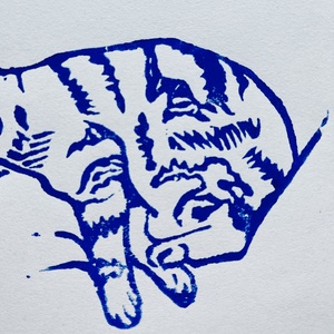 The Sleeping Cat -  linónyomat - művészet - grafika & illusztráció - művészi nyomat - Meska.hu