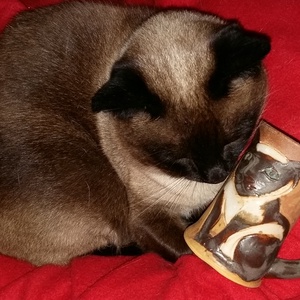társkereső chat vonal ingyenes próbaverzió