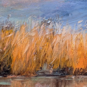 Balatoni nádas,30x30,olajfestmény  - művészet - festmény - olajfestmény - Meska.hu