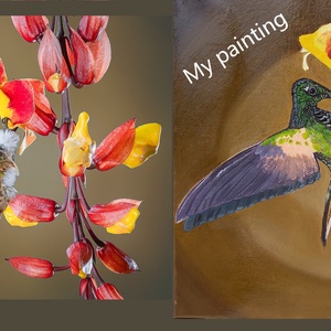 Kolibri olajfestmény - művészet - festmény - olajfestmény - Meska.hu