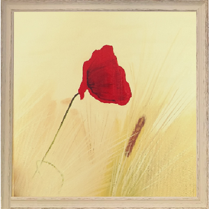 Pipacs festmény - művészet - festmény - olajfestmény - Meska.hu