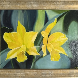 Nárcisz festmény (keretezett) - művészet - festmény - olajfestmény - Meska.hu