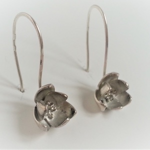 NiadaSilver