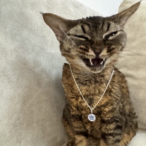 Nefelejcs nyaklánc, Ékszer, Nyaklánc, Medálos nyaklánc, Ékszerkészítés, MESKA