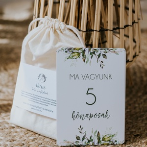 Ikres mérföldkőkártya csomag  greenery - Meska.hu