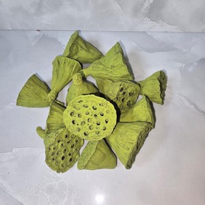 Lótusz mini - falfestékes olíva 4 dkg, Kellékek & szerszámok, Dekorációs kellékek, Termések, terméscsomagok, , MESKA