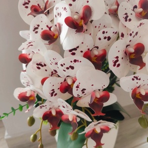 Gondozásmentes Orchidea Dekoráció  - otthon & életmód - virágdekoráció - virágdíszek - virágdísz kaspóban - Meska.hu