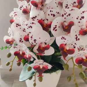 Gondozásmentes Orchidea Dekoráció  - otthon & életmód - virágdekoráció - virágdíszek - virágdísz kaspóban - Meska.hu