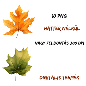 Őszi levelek clipart, Művészet, Grafika & Illusztráció, Digitális, , MESKA
