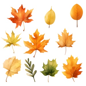 Őszi levelek clipart - művészet - grafika & illusztráció - digitális - Meska.hu