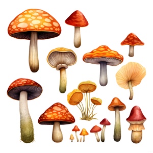Őszi gombák clipart - 1 - művészet - grafika & illusztráció - digitális - Meska.hu
