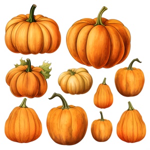 Őszi Tök clipart - 1 - művészet - grafika & illusztráció - digitális - Meska.hu