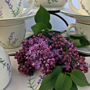 Romantikus levendulás kávés készlet - otthon & életmód - konyhafelszerelés, tálalás - tálalás - bögre & csésze - Meska.hu Romantikus levendulás kávés készlet - otthon & életmód - konyhafelszerelés, tálalás - tálalás - bögre & csésze - Meska.hu