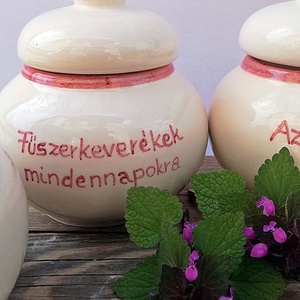 Napi bölcsességek pink fűszertartón  - otthon & életmód - konyhafelszerelés, tálalás - konyhai tárolás - fűszertartó - Meska.hu