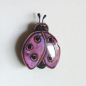 Bross Katicabogár -  - Meska.hu