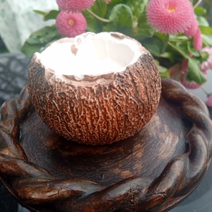 Hawaii kókuszdióhéj dekoráció 2 db - esküvő - dekoráció - asztaldísz - Meska.hu