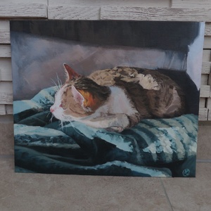 Cicus olajfestmény - művészet - festmény - olajfestmény - Meska.hu