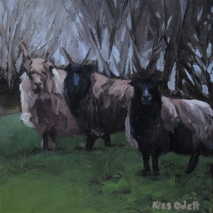 Racka juhok (olajfestmény), Művészet, Festmény, Olajfestmény, Festészet, MESKA