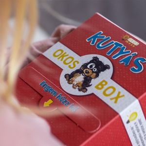 OkosMese Kutyás OkosBox - Meska.hu