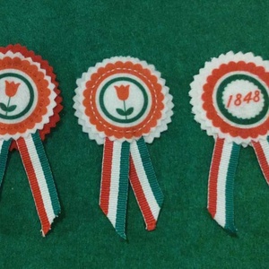 Nemzeti színű kitűző hölgyeknek - ékszer - kitűző és bross - Meska.hu