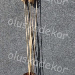 Pampafű, Olasznád, natúr 120cm, Kellékek & szerszámok, Dekorációs kellékek, Egyéb kellékek, Mindenmás, MESKA