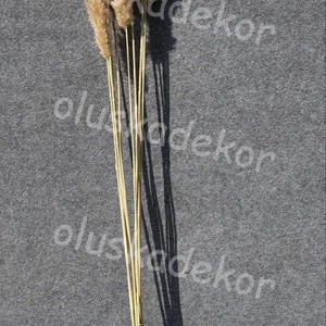 Pampafű, natúr, 100cm, Kellékek & szerszámok, Dekorációs kellékek, Egyéb kellékek, Mindenmás, MESKA