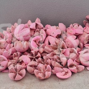 Tulipán termés, Chiruni - kellékek & szerszámok - dekorációs kellékek - egyéb kellékek - Meska.hu