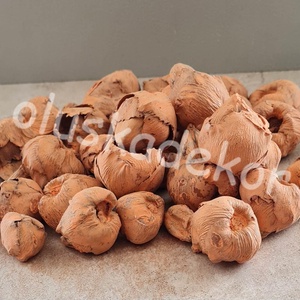 Kókusz mini, több színben, 50gr/cs. - kellékek & szerszámok - dekorációs kellékek - egyéb kellékek - Meska.hu