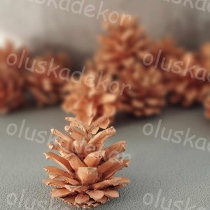 Rózsatoboz, natúr, falfestékes, dekornövény, száraztermés, több színben - kellékek & szerszámok - dekorációs kellékek - toboz - Meska.hu