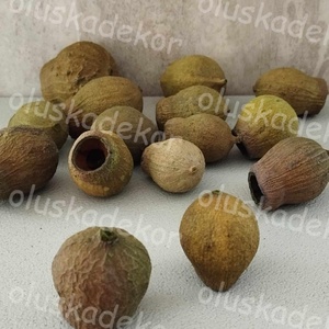 Eukalyptus, eukaliptusz - Bell Gum több színben 50gr/cs. - kellékek & szerszámok - dekorációs kellékek - egyéb kellékek - Meska.hu