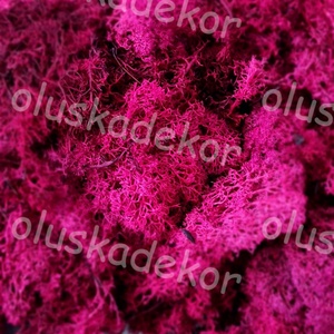 Izlandi zuzmó, 50gr./cs.  - kellékek & szerszámok - dekorációs kellékek - egyéb kellékek - Meska.hu